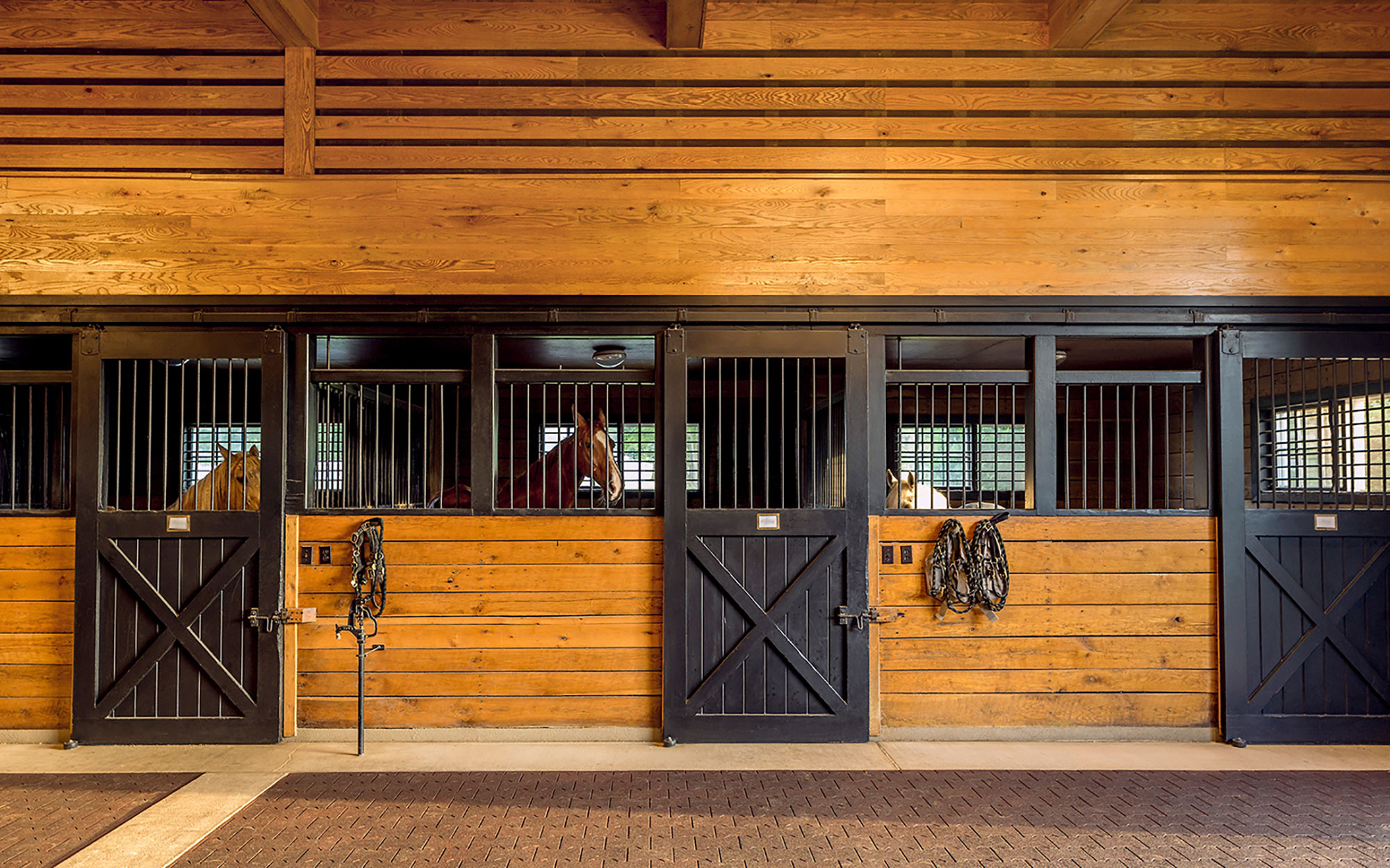 Albemarle Garden and Stable