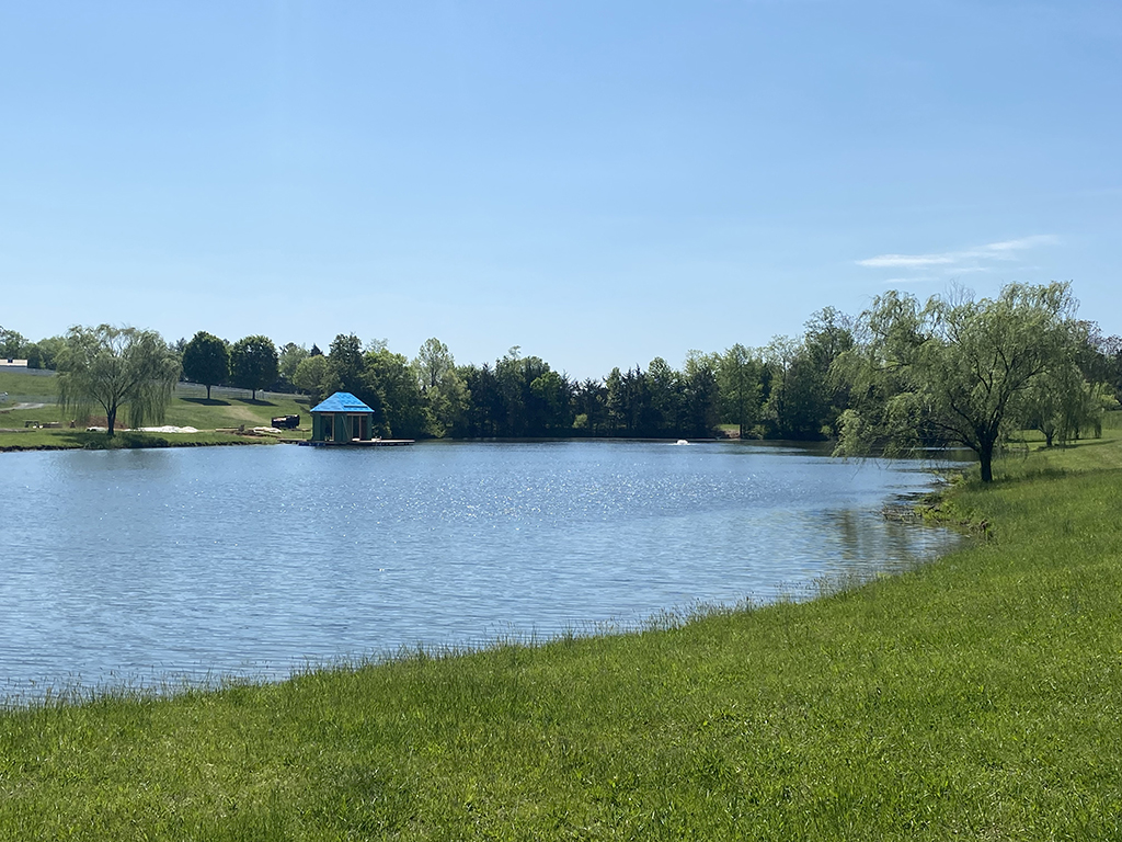 Sheathing complete for new gazebo.